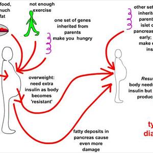 Diabetic Foods Online - Diamaxol Is It A Legitimate Diabetes Treatment