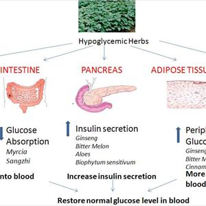 Diabetes 2 Recipes - Fighting Discrimination Against Diabetes